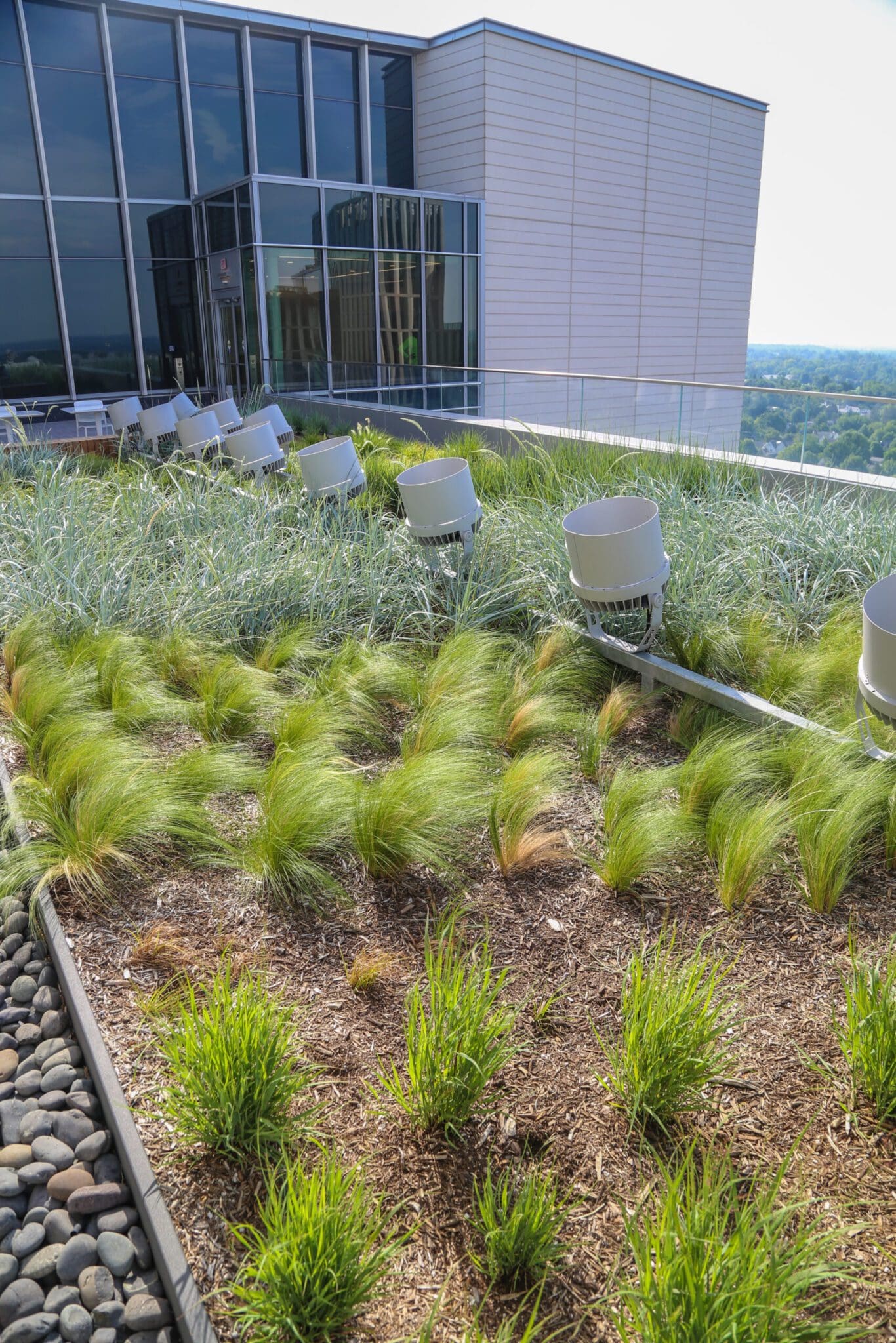 avocet tower detail green roof garden