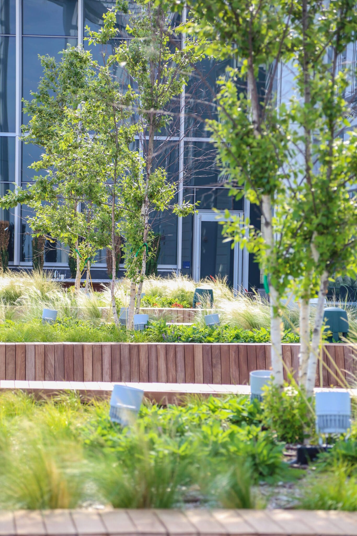 avocet towers with green roof and trees