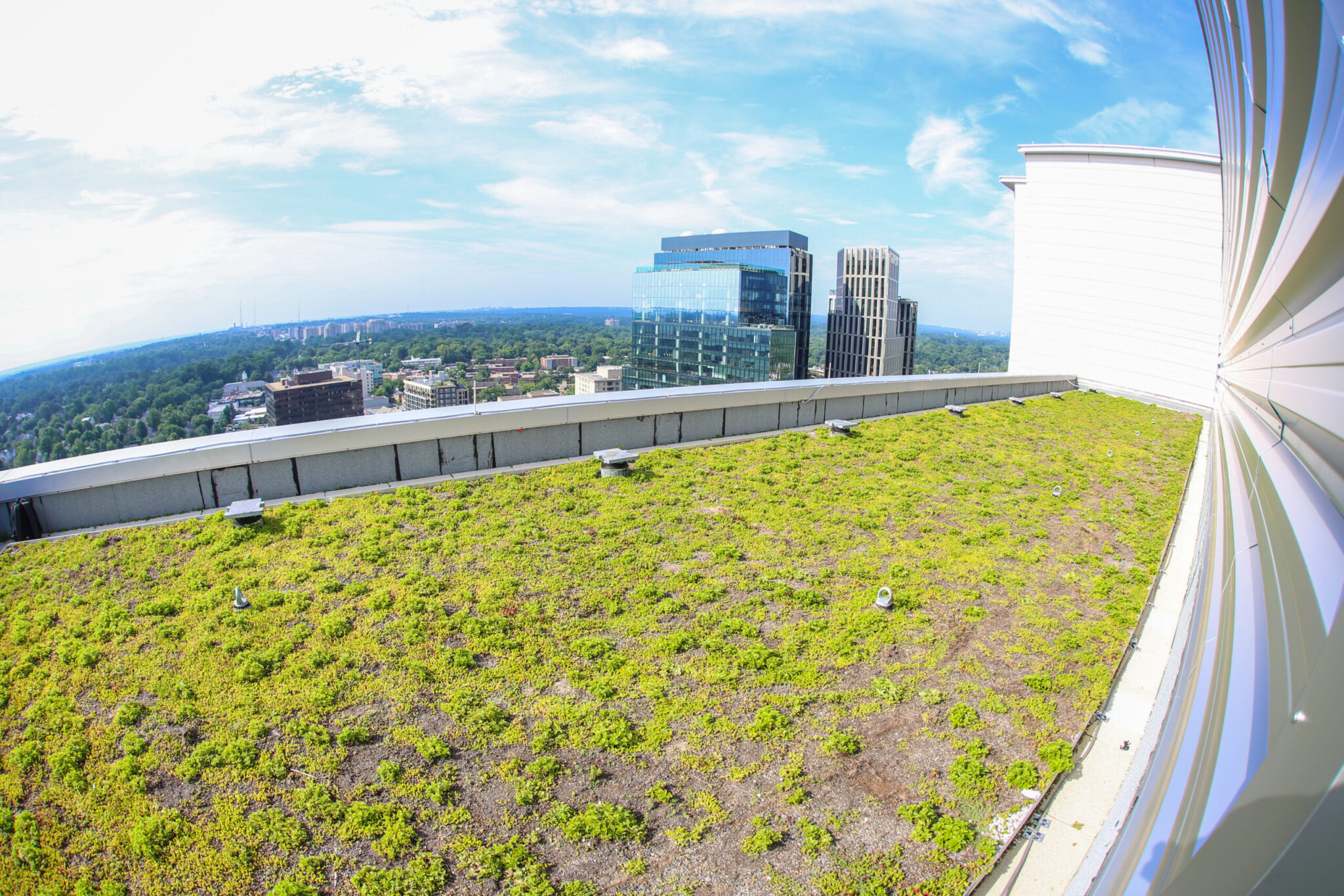avocet towers green roof maryland