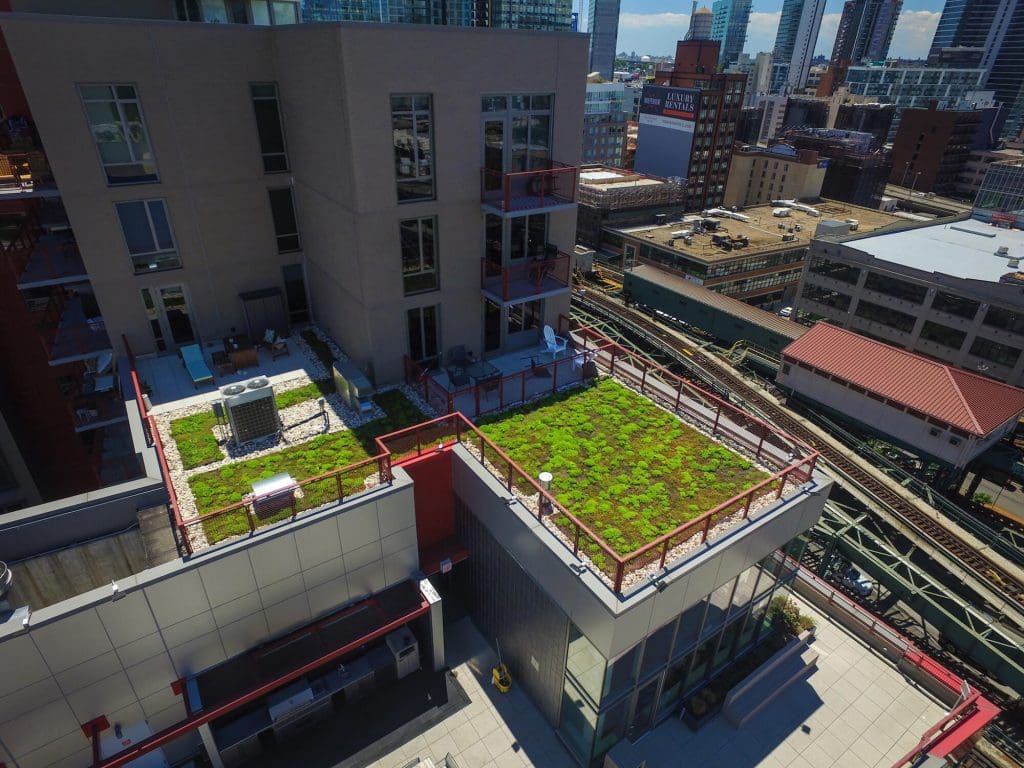 Picture of Long Island City – Adaptive Green