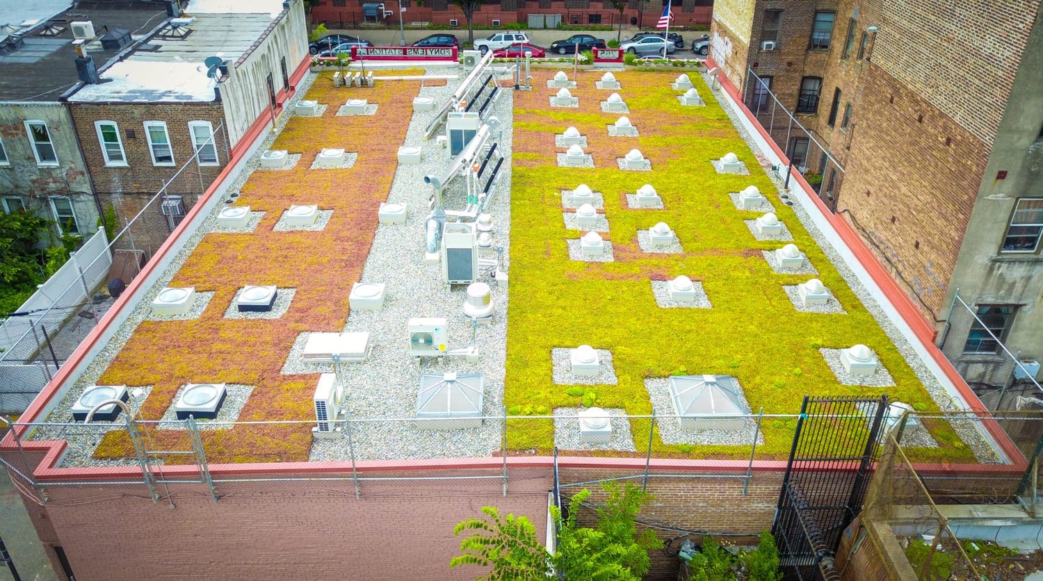 new york fire department green roof