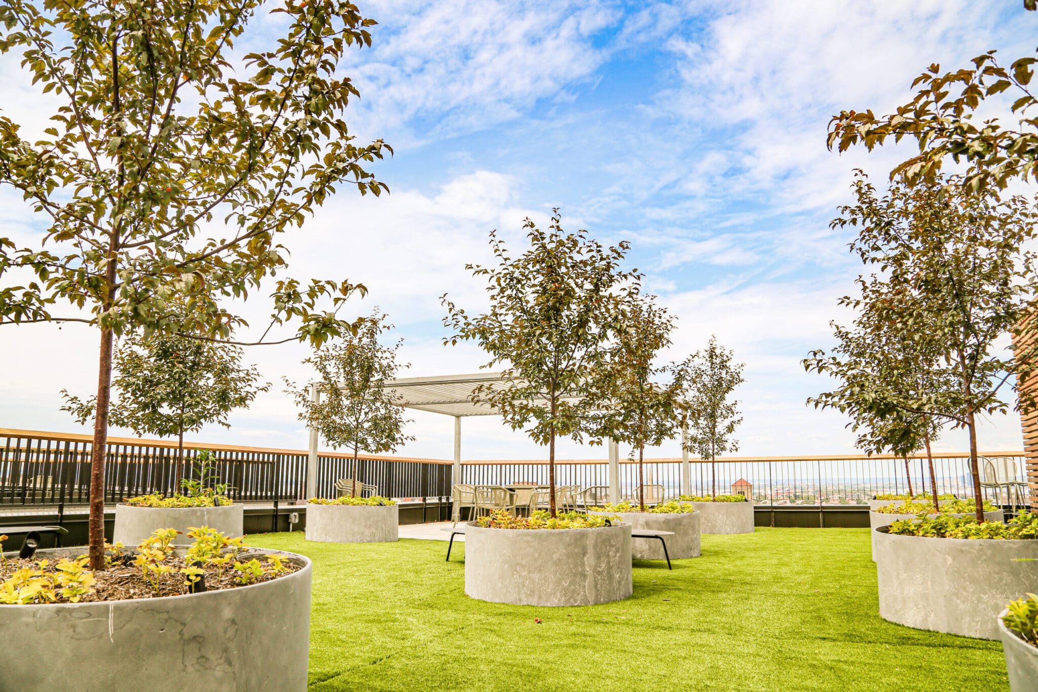 Tree boxes on green roof