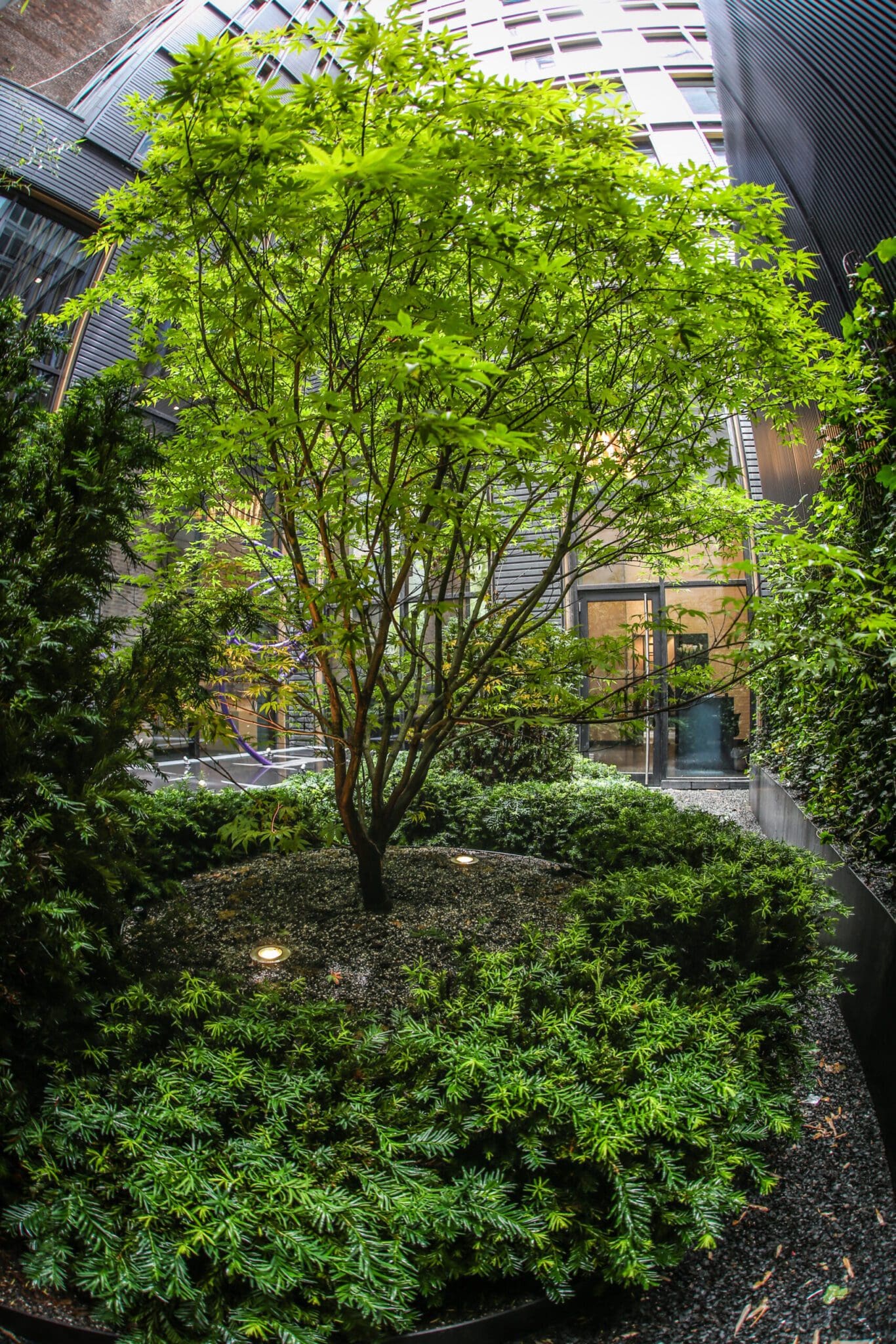 Tribeca New York Green City Living